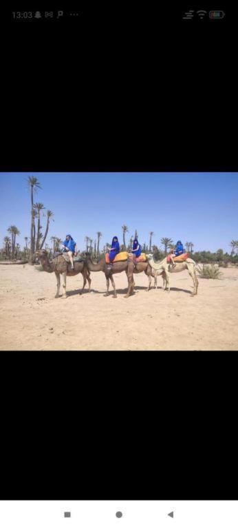Dar Hiba Apartment Marrakesh Ngoại thất bức ảnh